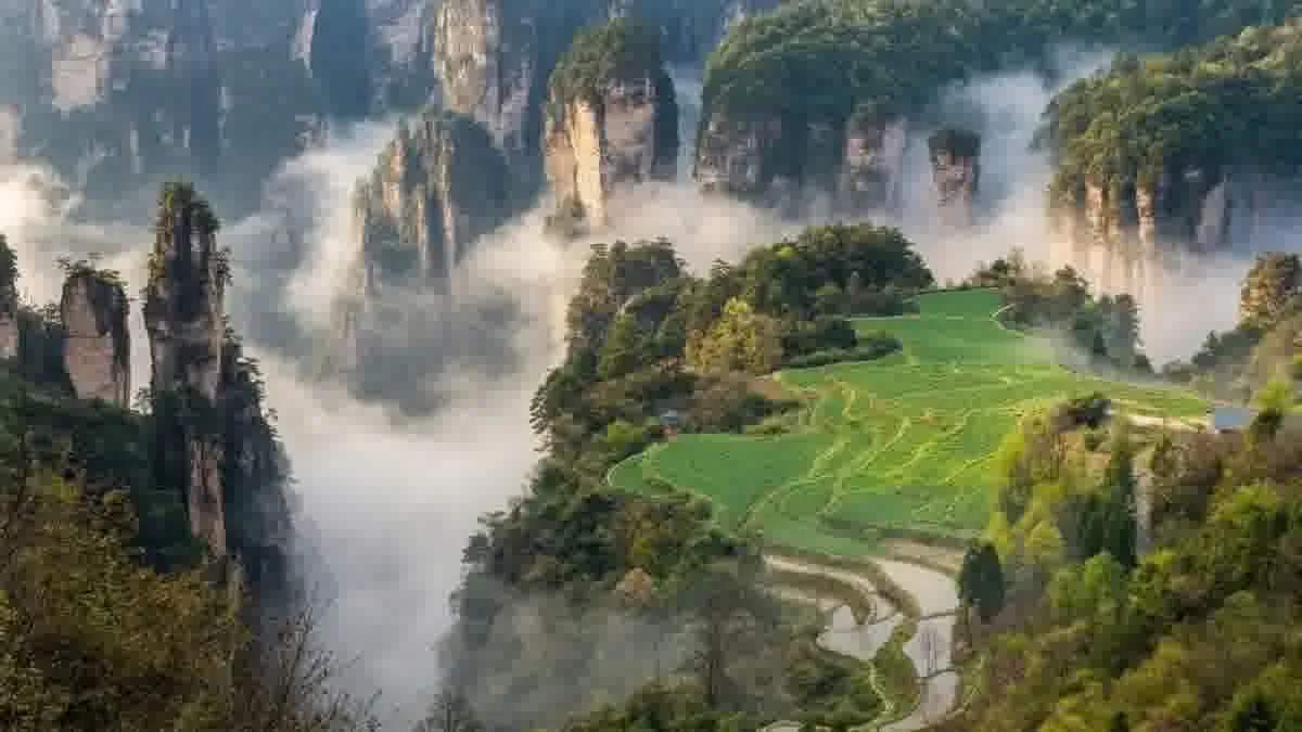 Grüne Terrassenfelder inmitten der Bergwelt