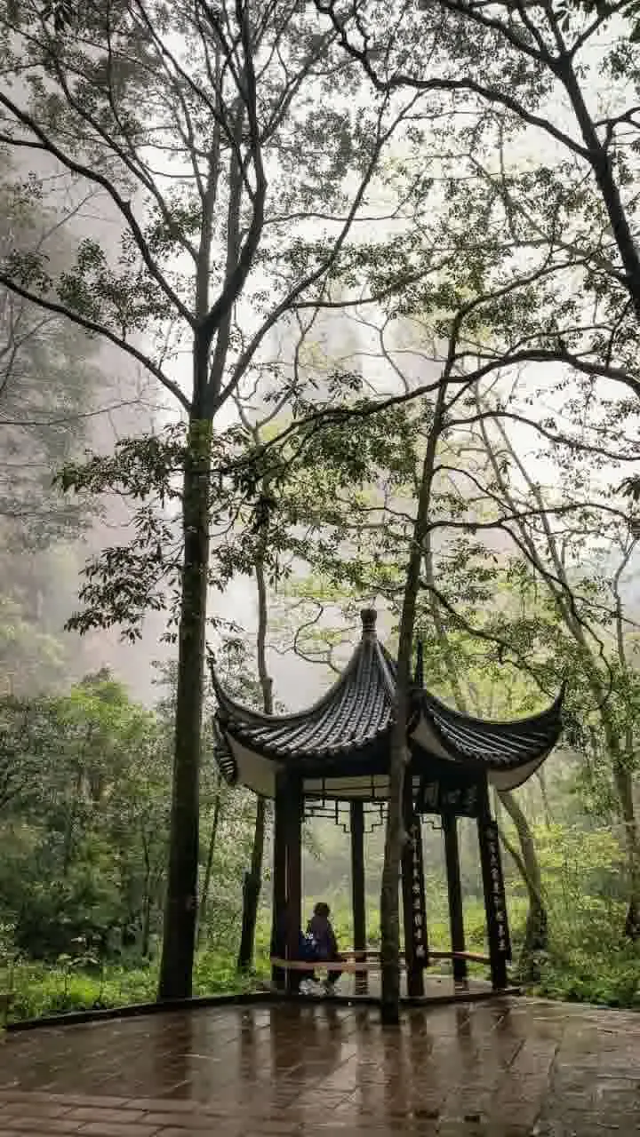 Ein einsamer Pavilion im Wald
