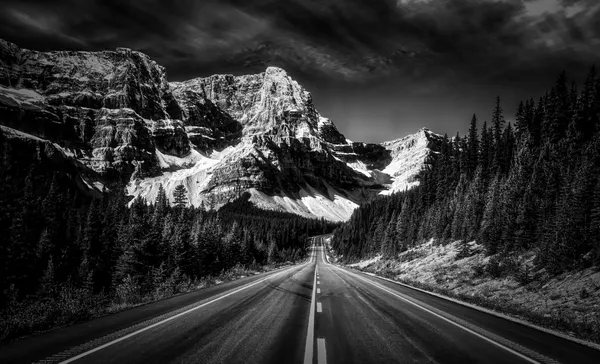 The Long Road | Canadian Rockies