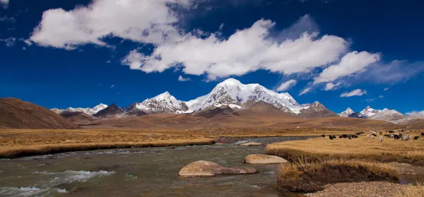 Fluss im Hochland | Tibet