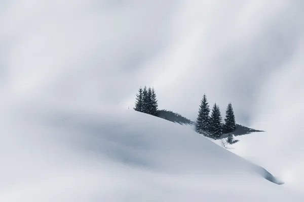 Nebel über dem Schnee