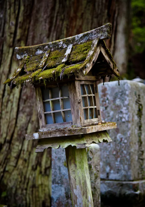 Moosbewachsene Holzlaterne