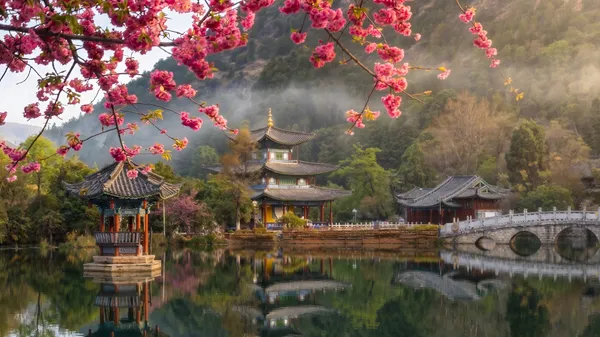 Lijiang – Spiegelnder See mit Kirschblüten