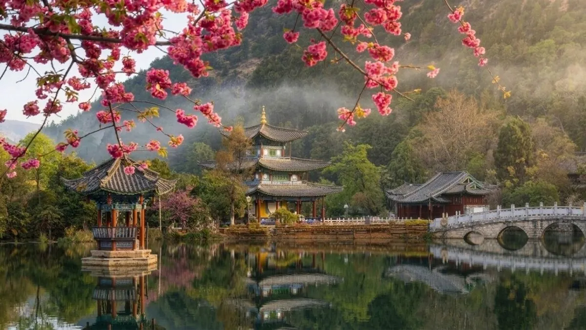 Traditionelle Pavillons inmitten der Kirschblüte in Lijiang