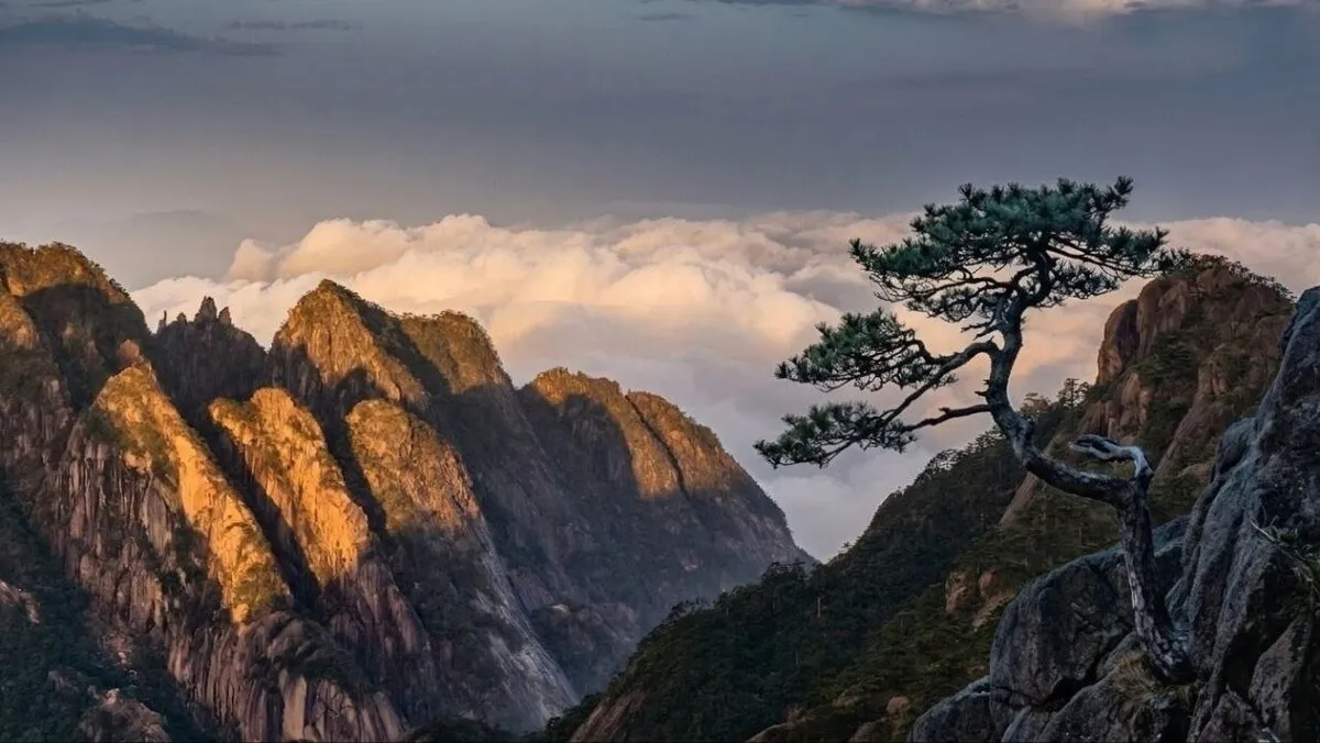 Das Wolkenmeer am Huangshan: Gipfel wie Inseln im weißen Ozean
