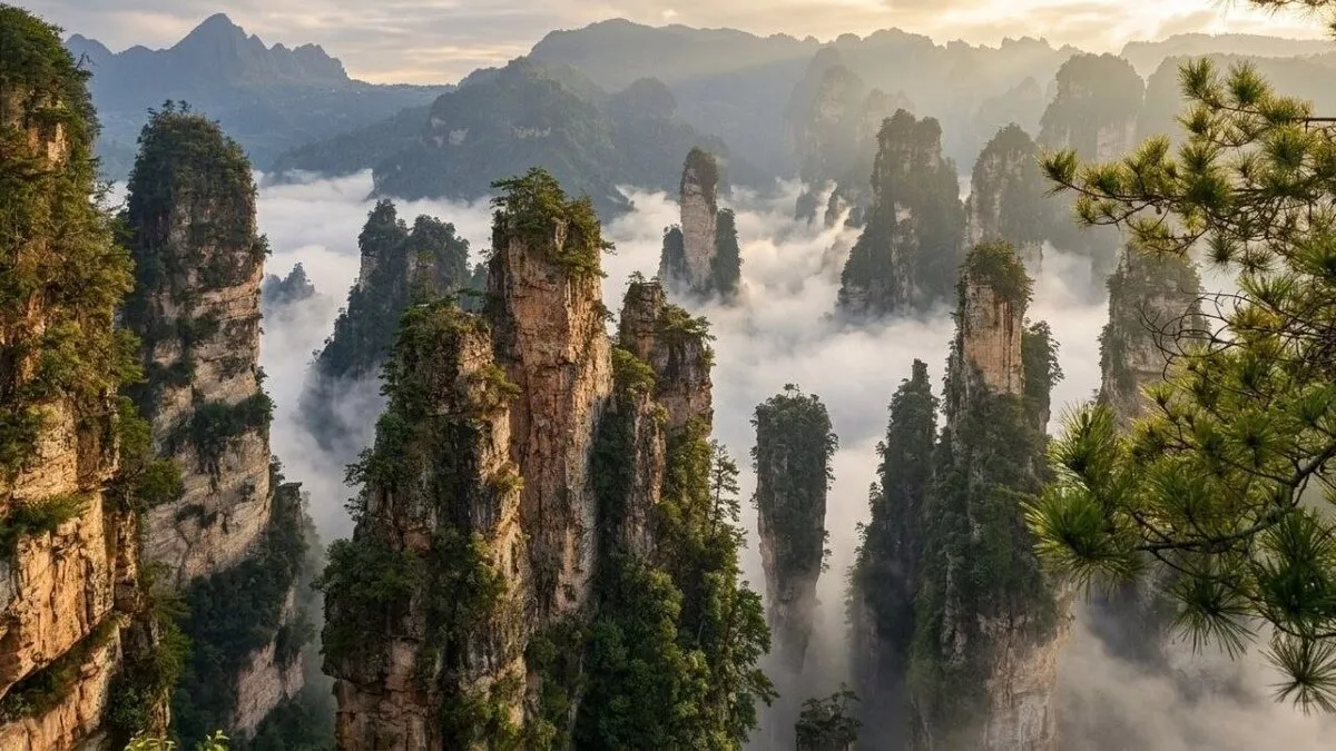 Avatar-Feeling pur: Die Sandsteinfelsen von Zhangjiajie