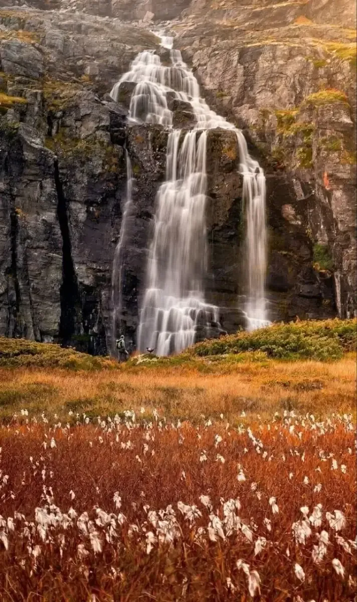 Wasserfall am Flotvatnet über dunklem Fels mit Wollgras im Vordergrund